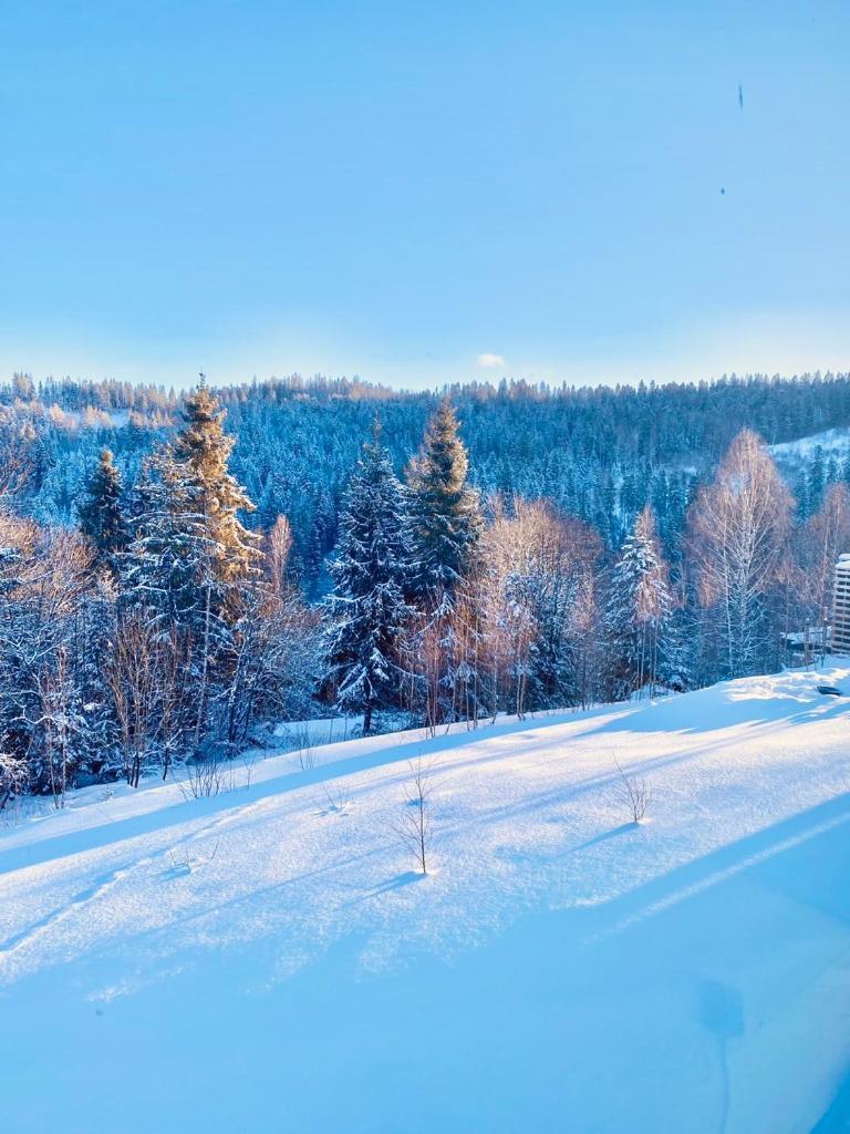 Mount Hotel Slavsko Extérieur photo